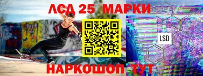 гашик Будённовск