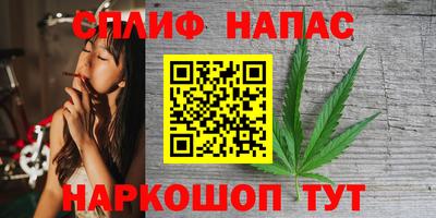 гашик Будённовск