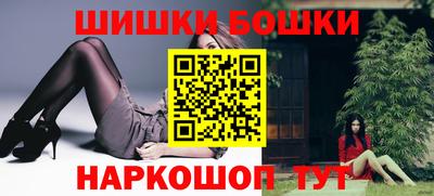 гашик Будённовск